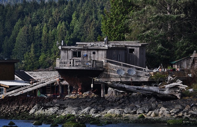 looking out over Tofino Inlet